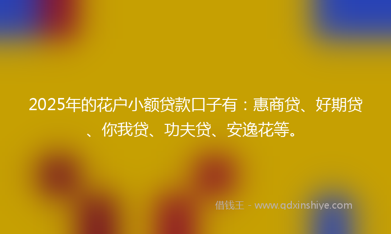 2025年的花户小额贷款口子有：惠商贷、好期贷、你我贷、功夫贷、安逸花等。