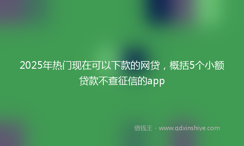 2025年热门现在可以下款的网贷，概括5个小额贷款不查征信的app