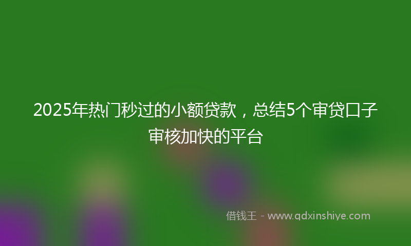 2025年热门秒过的小额贷款，总结5个审贷口子审核加快的平台
