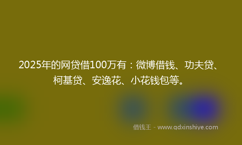 2025年的网贷借100万有：微博借钱、功夫贷、柯基贷、安逸花、小花钱包等。