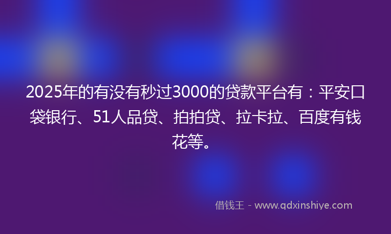 2025年的有没有秒过3000的贷款平台有：平安口袋银行、51人品贷、拍拍贷、拉卡拉、百度有钱花等。