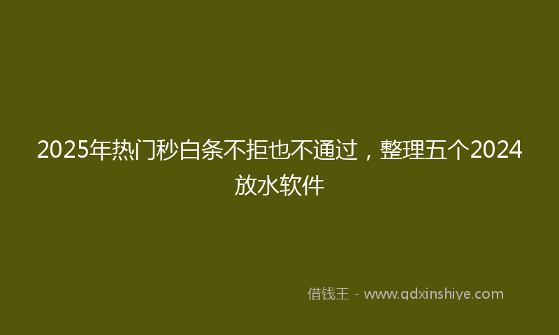 2025年热门秒白条不拒也不通过，整理五个2024放水软件