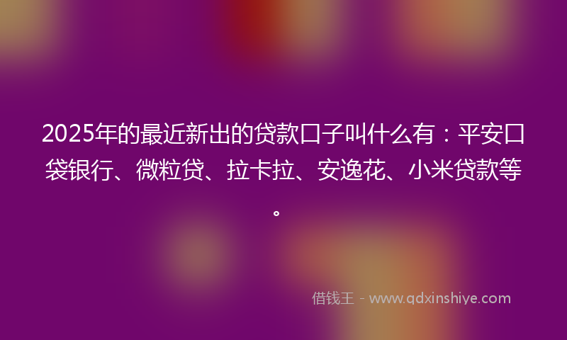 2025年的最近新出的贷款口子叫什么有：平安口袋银行、微粒贷、拉卡拉、安逸花、小米贷款等。