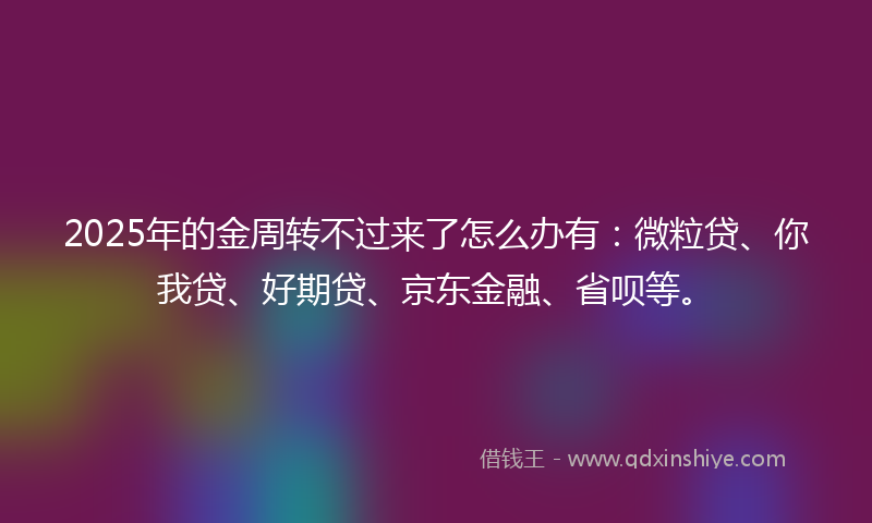 2025年的金周转不过来了怎么办有：微粒贷、你我贷、好期贷、京东金融、省呗等。