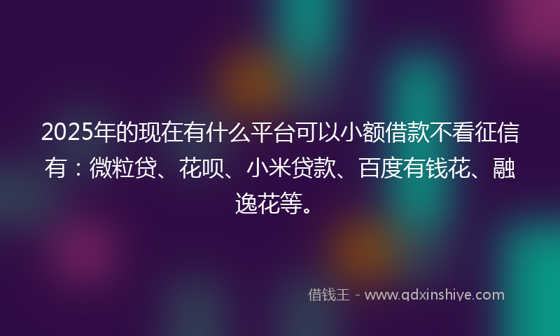 2025年的现在有什么平台可以小额借款不看征信有：微粒贷、花呗、小米贷款、百度有钱花、融逸花等。