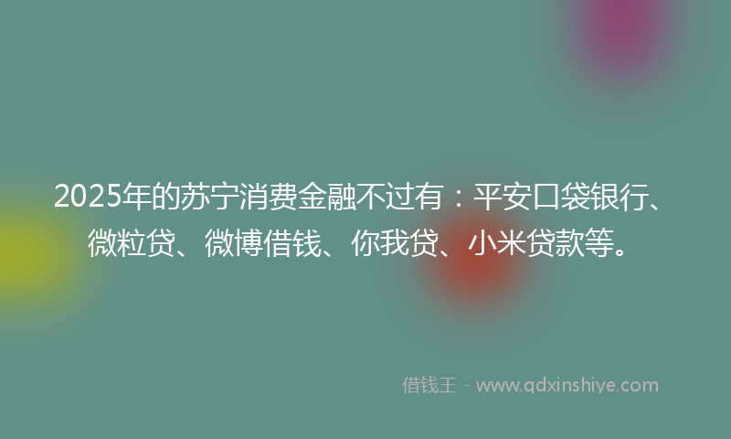 2025年的苏宁消费金融不过有：平安口袋银行、微粒贷、微博借钱、你我贷、小米贷款等。