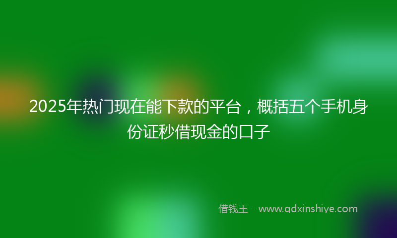 2025年热门现在能下款的平台，概括五个手机身份证秒借现金的口子