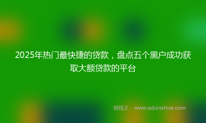 2025年热门最快捷的贷款，盘点五个黑户成功获取大额贷款的平台