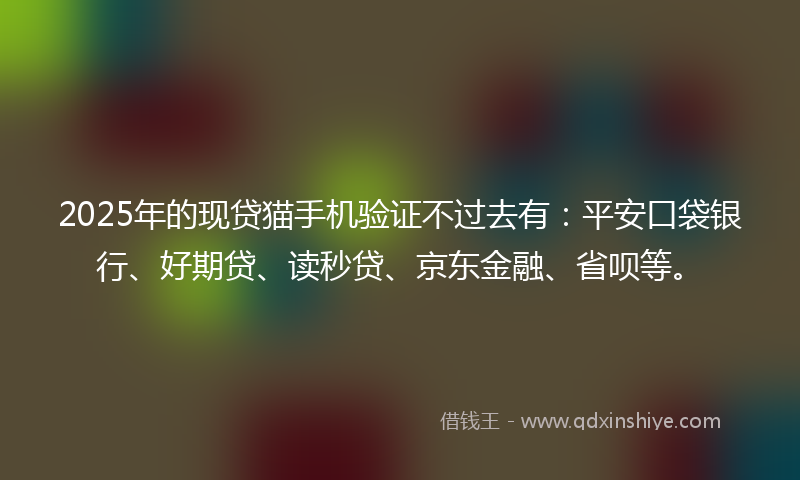 2025年的现贷猫手机验证不过去有：平安口袋银行、好期贷、读秒贷、京东金融、省呗等。