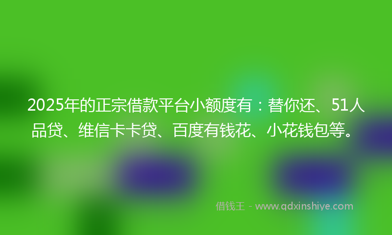 2025年的正宗借款平台小额度有：替你还、51人品贷、维信卡卡贷、百度有钱花、小花钱包等。