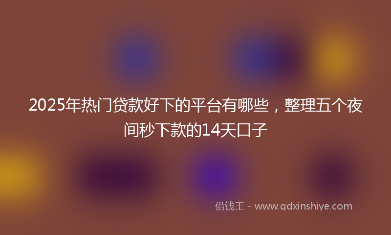 2025年热门贷款好下的平台有哪些，整理五个夜间秒下款的14天口子