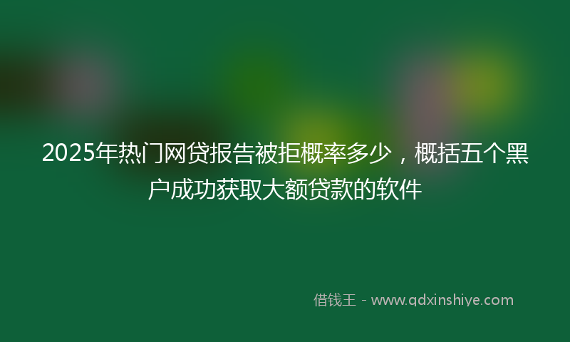 2025年热门网贷报告被拒概率多少，概括五个黑户成功获取大额贷款的软件