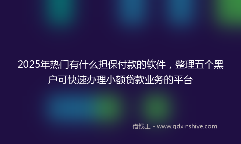 2025年热门有什么担保付款的软件，整理五个黑户可快速办理小额贷款业务的平台