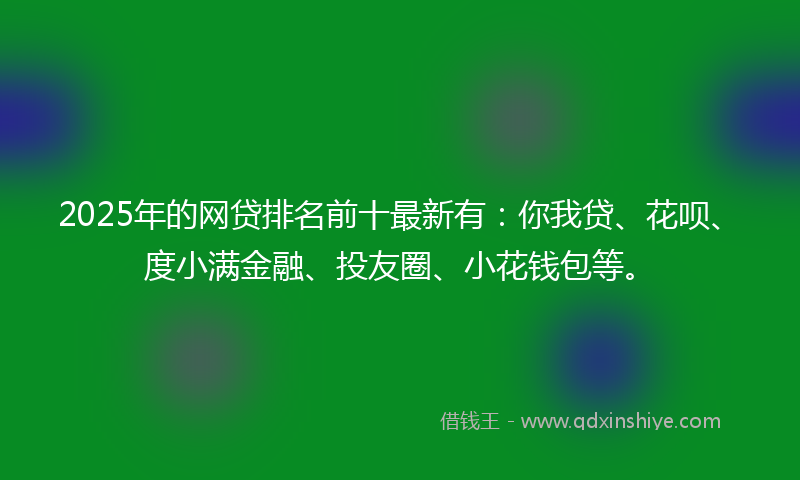 2025年的网贷排名前十最新有：你我贷、花呗、度小满金融、投友圈、小花钱包等。