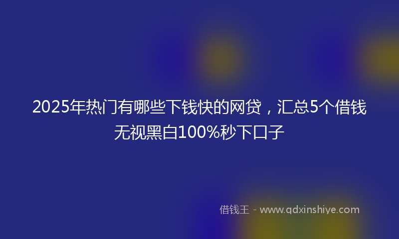 2025年热门有哪些下钱快的网贷，汇总5个借钱无视黑白100%秒下口子