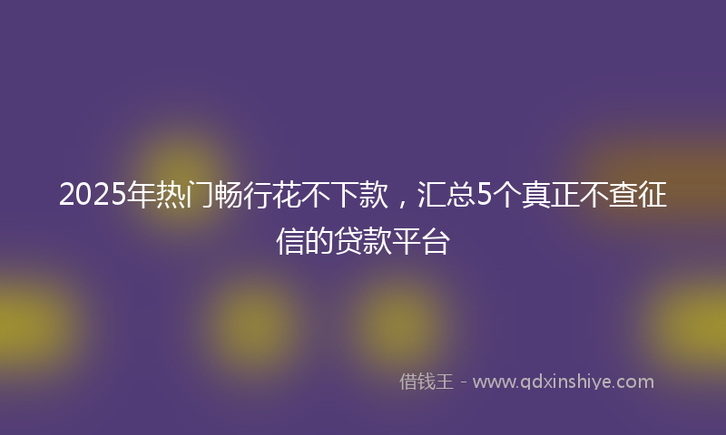 2025年热门畅行花不下款，汇总5个真正不查征信的贷款平台
