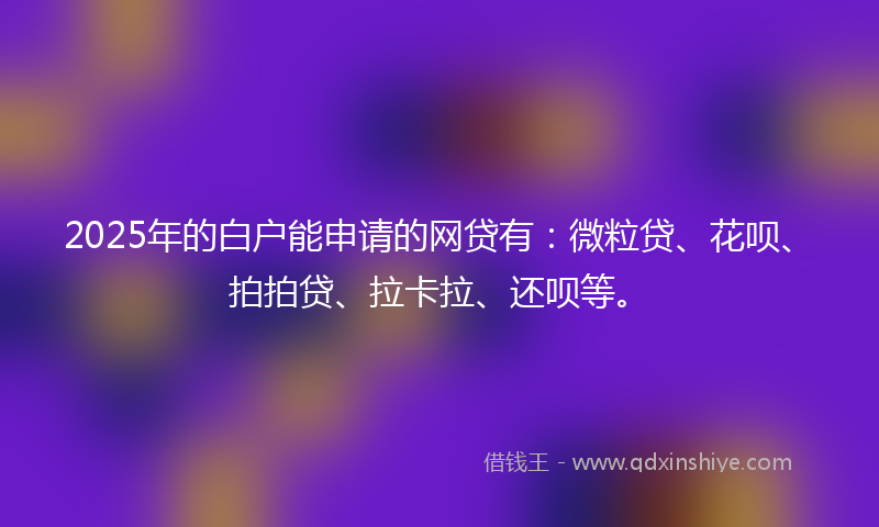 2025年的白户能申请的网贷有：微粒贷、花呗、拍拍贷、拉卡拉、还呗等。