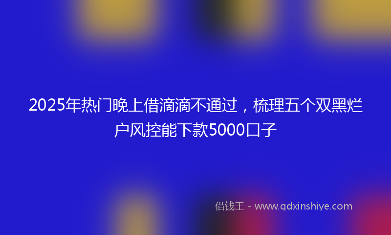 2025年热门晚上借滴滴不通过，梳理五个双黑烂户风控能下款5000口子