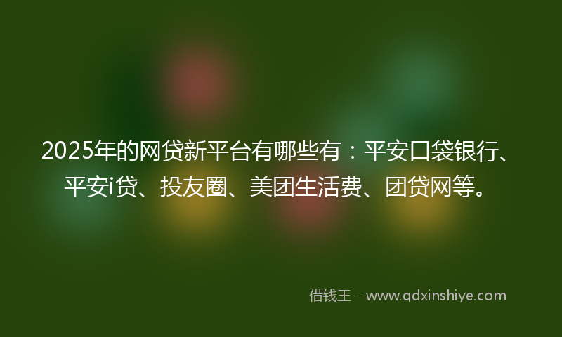 2025年的网贷新平台有哪些有：平安口袋银行、平安i贷、投友圈、美团生活费、团贷网等。