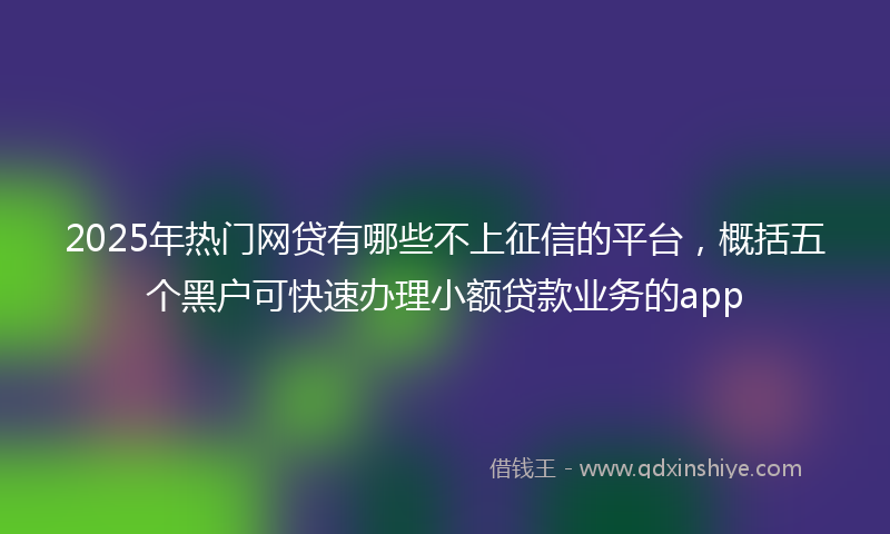 2025年热门网贷有哪些不上征信的平台，概括五个黑户可快速办理小额贷款业务的app