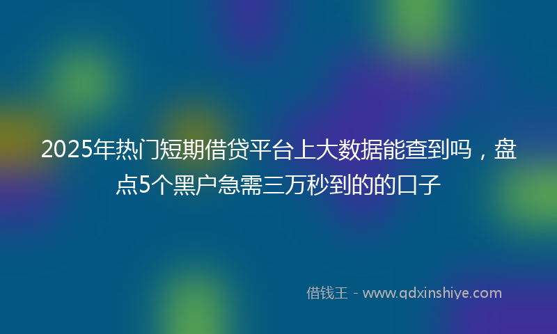 2025年热门短期借贷平台上大数据能查到吗，盘点5个黑户急需三万秒到的的口子