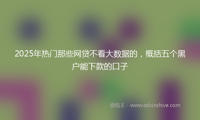 2025年热门那些网贷不看大数据的，概括五个黑户能下款的口子