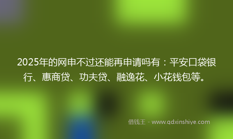 2025年的网申不过还能再申请吗有：平安口袋银行、惠商贷、功夫贷、融逸花、小花钱包等。