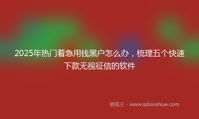 2025年热门着急用钱黑户怎么办，梳理五个快速下款无视征信的软件