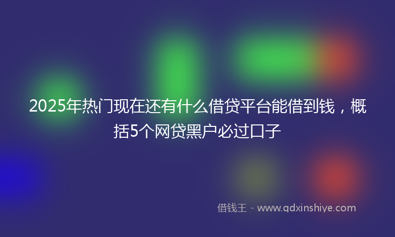 2025年热门现在还有什么借贷平台能借到钱，概括5个网贷黑户必过口子