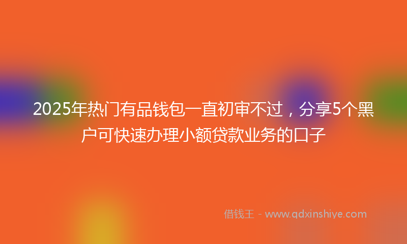 2025年热门有品钱包一直初审不过，分享5个黑户可快速办理小额贷款业务的口子