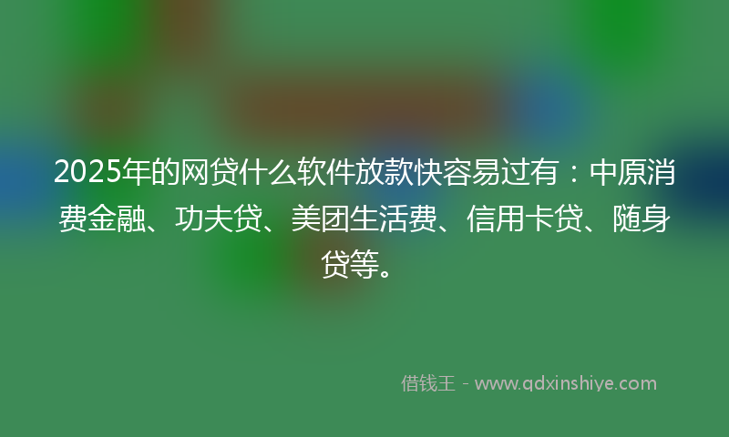 2025年的网贷什么软件放款快容易过有：中原消费金融、功夫贷、美团生活费、信用卡贷、随身贷等。