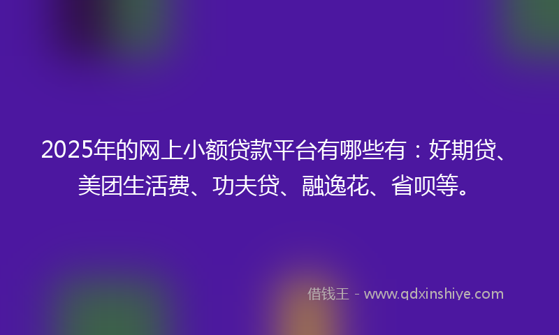 2025年的网上小额贷款平台有哪些有：好期贷、美团生活费、功夫贷、融逸花、省呗等。