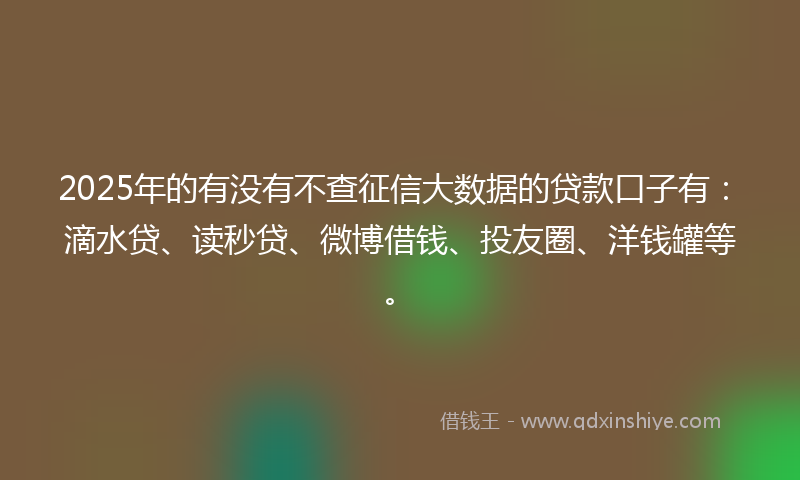 2025年的有没有不查征信大数据的贷款口子有：滴水贷、读秒贷、微博借钱、投友圈、洋钱罐等。