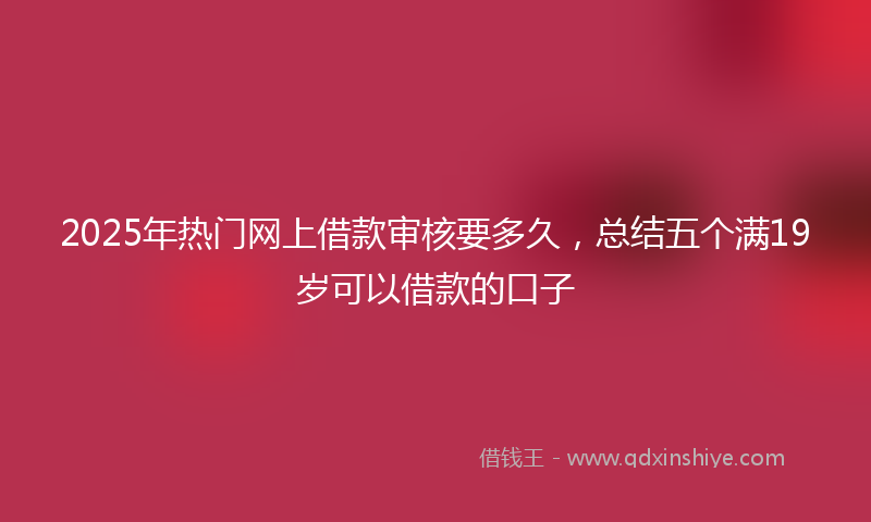 2025年热门网上借款审核要多久，总结五个满19岁可以借款的口子