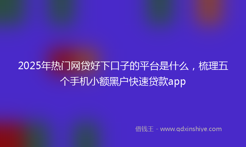 2025年热门网贷好下口子的平台是什么，梳理五个手机小额黑户快速贷款app