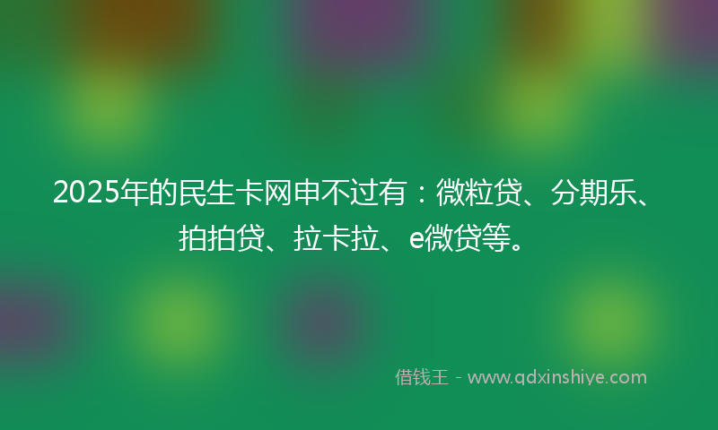 2025年的民生卡网申不过有：微粒贷、分期乐、拍拍贷、拉卡拉、e微贷等。