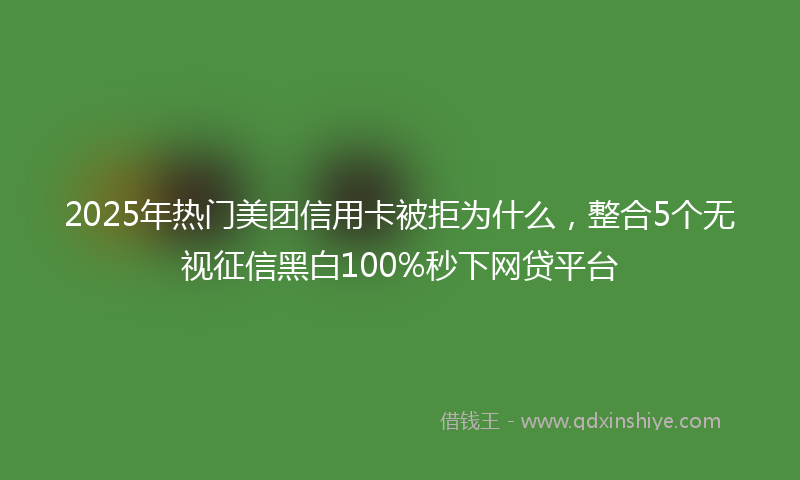 2025年热门美团信用卡被拒为什么，整合5个无视征信黑白100%秒下网贷平台