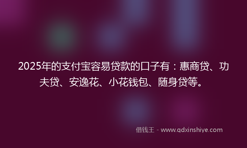 2025年的支付宝容易贷款的口子有：惠商贷、功夫贷、安逸花、小花钱包、随身贷等。