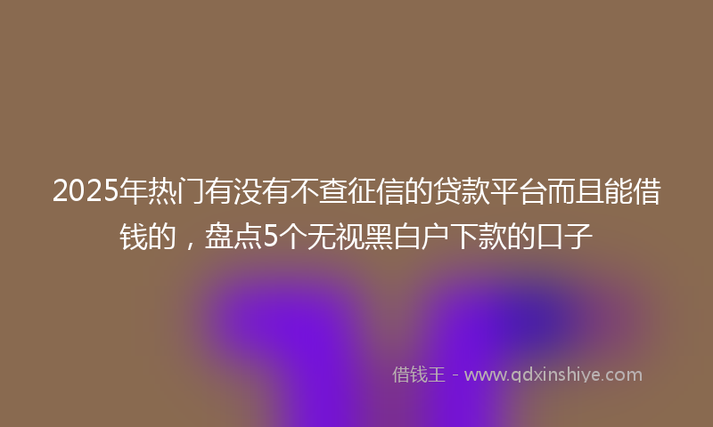 2025年热门有没有不查征信的贷款平台而且能借钱的，盘点5个无视黑白户下款的口子