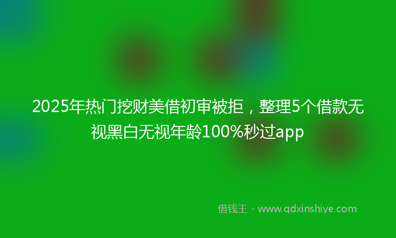 2025年热门挖财美借初审被拒，整理5个借款无视黑白无视年龄100%秒过app