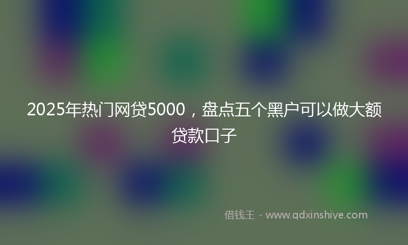 2025年热门网贷5000，盘点五个黑户可以做大额贷款口子