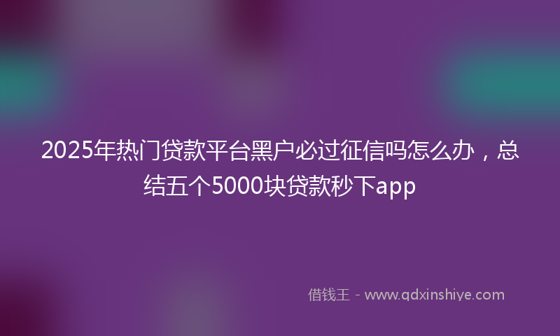 2025年热门贷款平台黑户必过征信吗怎么办，总结五个5000块贷款秒下app
