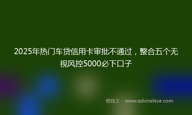 2025年热门车贷信用卡审批不通过，整合五个无视风控5000必下口子