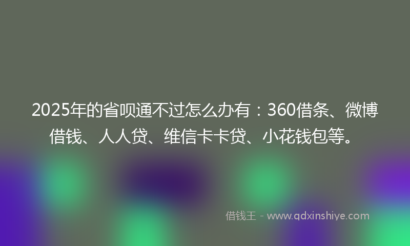2025年的省呗通不过怎么办有：360借条、微博借钱、人人贷、维信卡卡贷、小花钱包等。