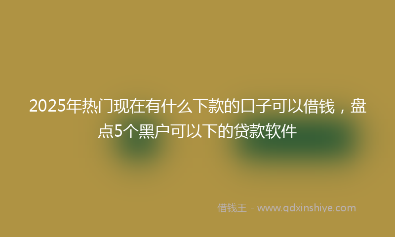 2025年热门现在有什么下款的口子可以借钱，盘点5个黑户可以下的贷款软件