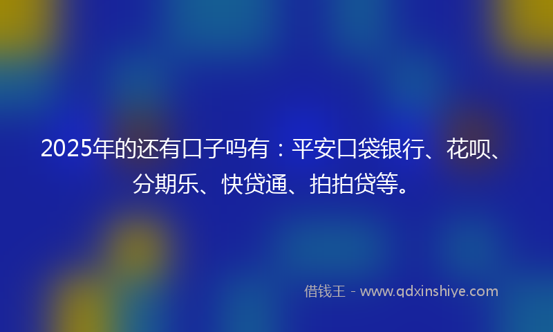 2025年的还有口子吗有：平安口袋银行、花呗、分期乐、快贷通、拍拍贷等。