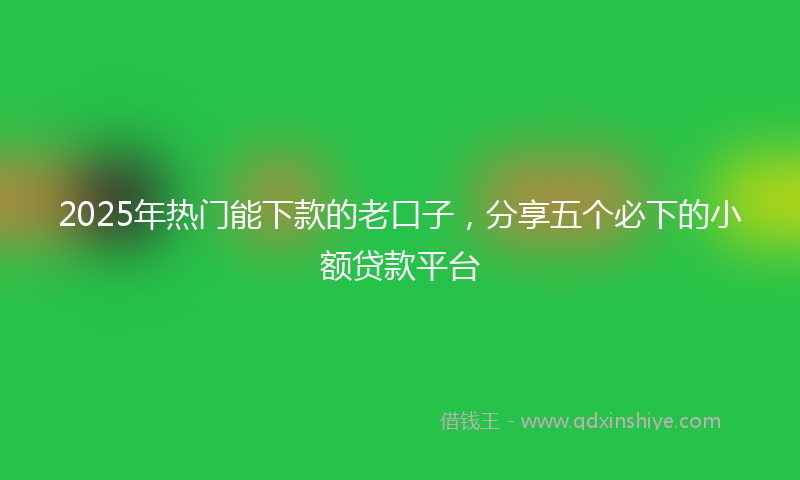 2025年热门能下款的老口子，分享五个必下的小额贷款平台