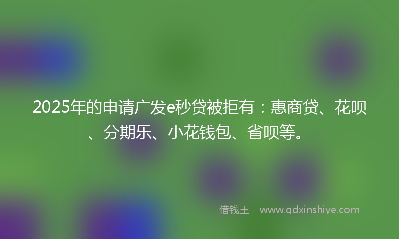 2025年的申请广发e秒贷被拒有：惠商贷、花呗、分期乐、小花钱包、省呗等。