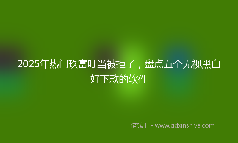 2025年热门玖富叮当被拒了，盘点五个无视黑白好下款的软件