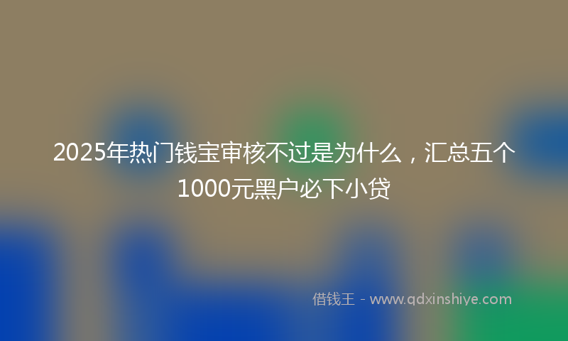 2025年热门钱宝审核不过是为什么，汇总五个1000元黑户必下小贷